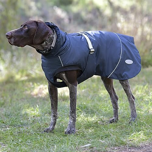 WeatherBeeta Explorer Hundemantel, Größe M, Marineblau, 65 cm von Weatherbeeta