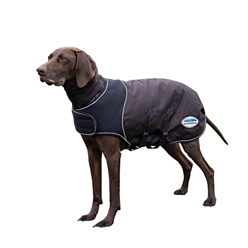 WeatherBeeta Hundemantel ComFiTec Ultra Cozi 100gr - 25CM - Dunkelgrau-Blau von Weatherbeeta