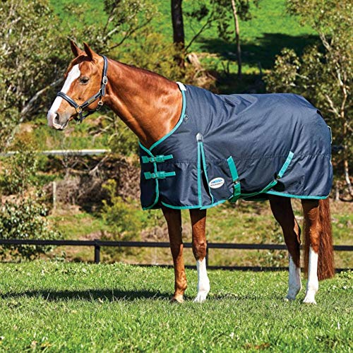 Weatherbeeta ComFiTec Classic Medium Standard Neck Turnout Rug 6ft5 Black Green von Weatherbeeta