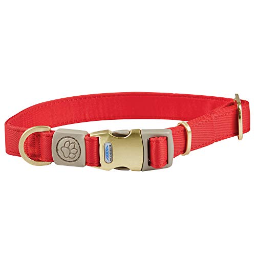 Weatherbeeta Elegance Dog Collar X Small Red von Weatherbeeta