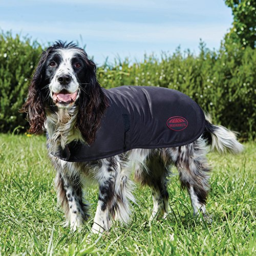 Weatherbeeta Gewachster Hundemantel Braun von Weatherbeeta