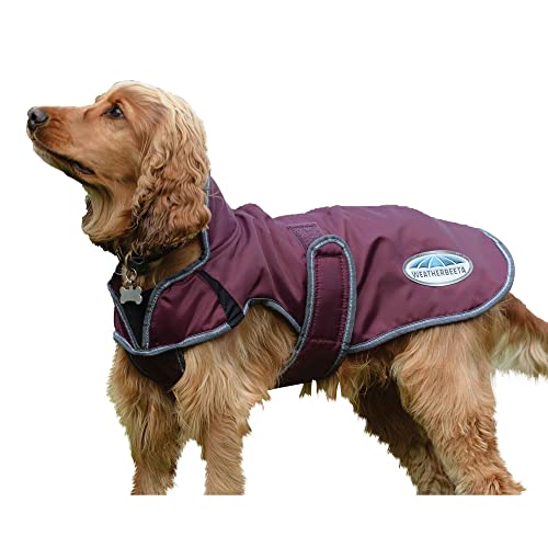 Weatherbeeta - Hundemantel Comfitec Windbreaker Free Deluxe (35 cm) (Weinrot/Grau/Weiß) von Weatherbeeta