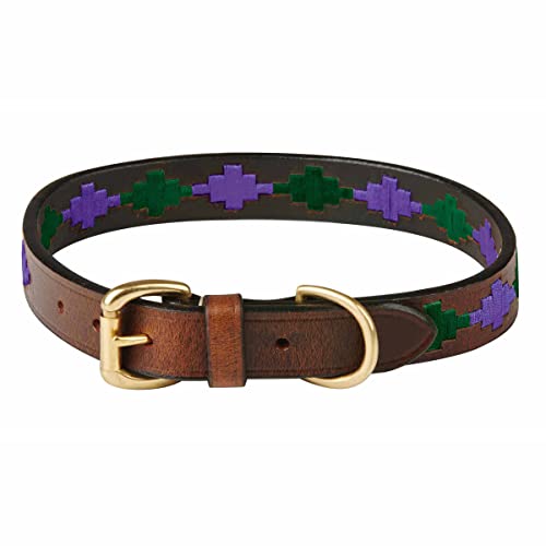 Weatherbeeta Polo Leather Dog Collar X Small Beaufort Brown Purple Teal von Weatherbeeta