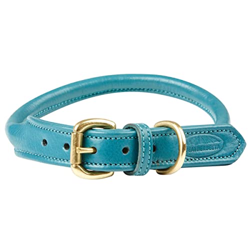 Weatherbeeta Rolled Leather Dog Collar Medium Teal von Weatherbeeta