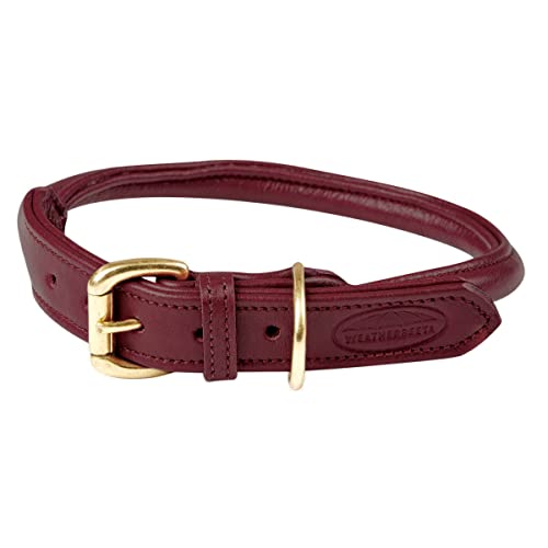 Weatherbeeta Rolled Leather Dog Collar X Large Maroon von Weatherbeeta