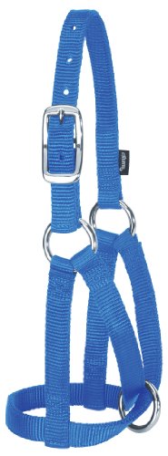 Llama Halters: Blue: Full von Weaver Leather