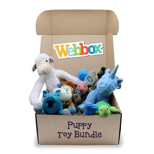 Webbox Kleine Hunde & Welpenspielzeug Bundle Box (9 Pack) - Zahnen, Kauen, Seil, Plüsch & Quietschspielzeug für kleine Hunde & Welpen ab 8 Wochen (Blau) von Webbox