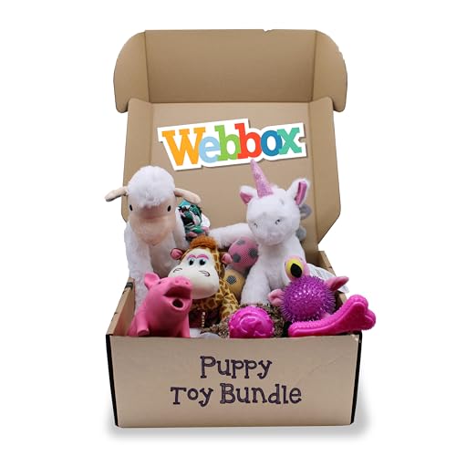 Webbox Small Dog & Puppy Toy Bundle Box (9 Toys) - Zahnen, Kauen, Seil, Plüsch & Quietschspielzeug für kleine Hunde & Welpen ab 8 Wochen (Rosa) von Webbox