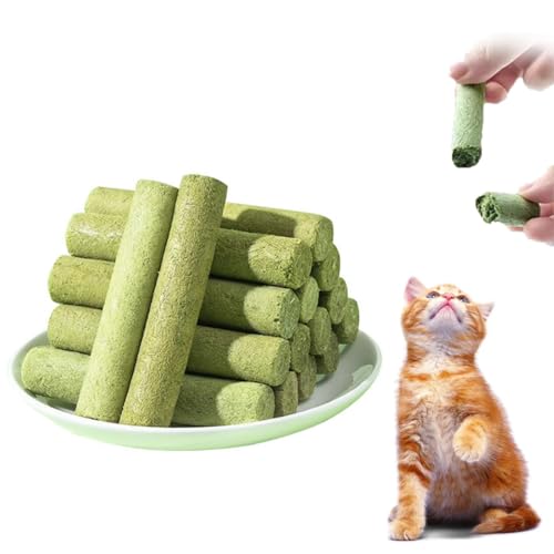 WeddHuis 10 Pcs Katzengras Snack 50g Katzengras Sticks Gefriergetrocknet Snacks für Katzen für die Zahnpflege und Haarknäuel Entfernen Katzenminze Cat Grass Stick von WeddHuis