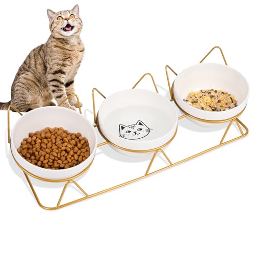 Wedding Pails Erhöhte Katzennäpfe mit 3 Keramiknäpfen, 12,7 cm, Futter- und Wassernäpfe, 15° geneigt, erhöhter Futternapf mit Metallständer für mehrere Katzen, Hunde, Haustiere, Gold von Wedding Pails