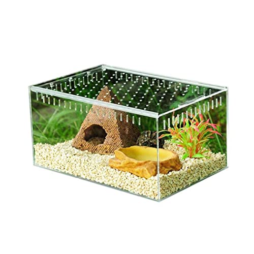 Transparente Futterbox Aus Acryl Terrarium Reptilientank Insekten Und Reptilientransport Zuchtkäfigbehälter Transparente Reptilienzuchtbox 1 Stück von Wedhapy