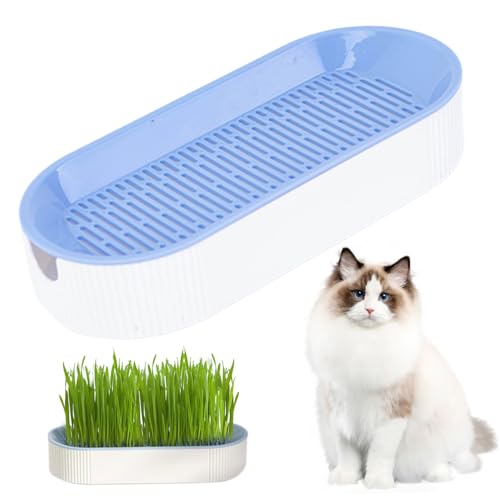 Wedhapy Katzengras -Pflanzer Dual Schicht Abnehmbarer Hydroponic Cat Grass Pflanzer S. 8.3x3.6x1.8in Haus Cattery Cat Grass Anbau Katze Cat -Vorräte, Keine Samen von Wedhapy