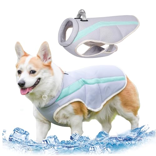 Wedhapy Kühlweste Für Hunde Hundekühlweste Schwimmweste Hundekälteweste Für Große Mittelgroße Hunde Kühljacke Mit D Ring Und Verstellbaren Trägern Hundemantel Mit Reflektierenden Streifen L von Wedhapy