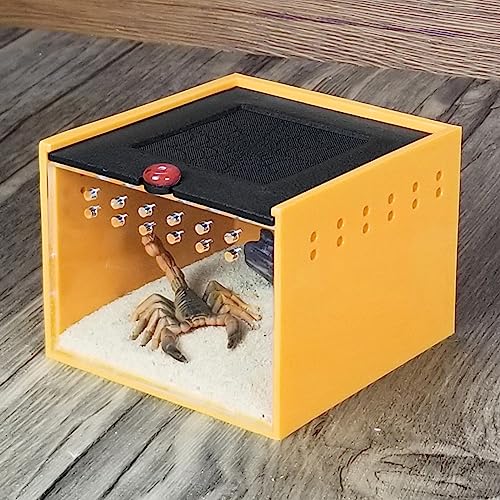 Wedoelsim Kleines Insektengehege mit klarem Sichtgrad – bequemes Füttern und Seelenfrieden – farbenfrohes Design – geeignet für Spinnen und kleine Insekten – belüftetes Terrarium von Wedoelsim