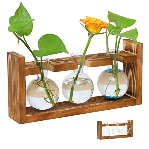 Pflanzenpropagationsstationen Pflanzen Terrarium Glasspflanzer mit Holzstand für Hydroponische Pflanzen Büro Hausdekoration, Pflanzen -Terrarium von Weduspaty