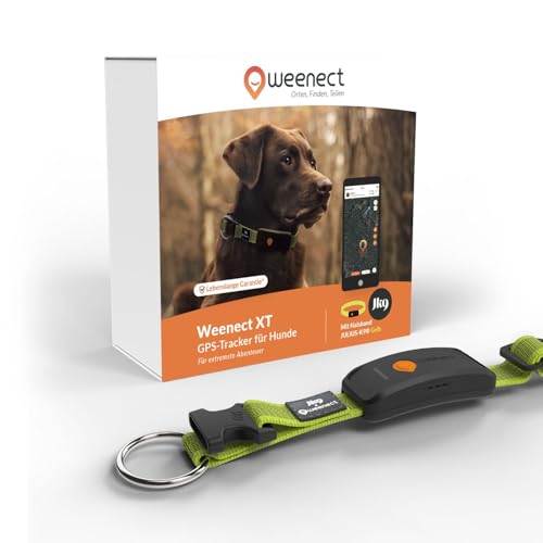 Weenect Hund XT - NEUES GPS-Halsband für Hunde | XL-Antenne | Wasserdicht | Hyperresistentes integriertes Julius-K9 Halsband Gelb 3 Monate Abonnement inklusive von Weenect