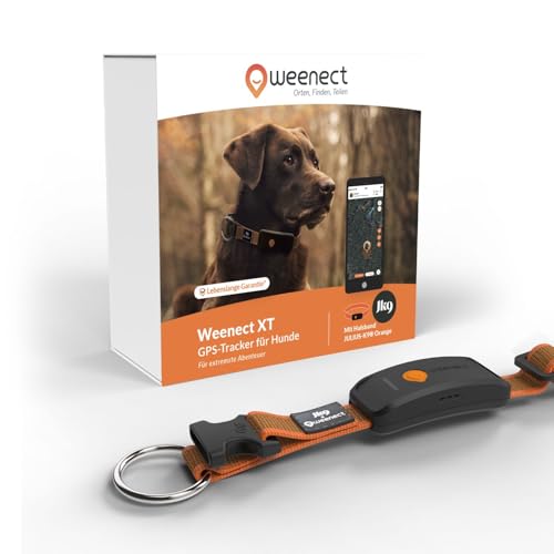 Weenect Hund XT - NEUES GPS-Halsband für Hunde | XL-Antenne | Wasserdicht | Hyperresistentes integriertes Julius-K9 Halsband Orange 3 Monate Abonnement inklusive von Weenect