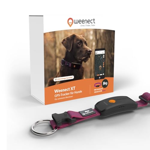 Weenect Hund XT - NEUES GPS-Halsband für Hunde | XL-Antenne | Wasserdicht | Hyperresistentes integriertes Julius-K9 Halsband Schwarz 3 Monate Abonnement inklusive von Weenect