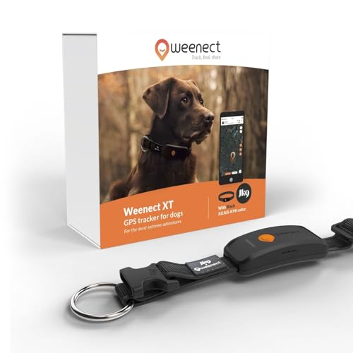 Weenect Hund XT - NEUES GPS-Halsband für Hunde | XL-Antenne | Wasserdicht | Hyperresistentes integriertes Julius-K9 Halsband Schwarzes 3 Monate Abonnement inklusive von Weenect