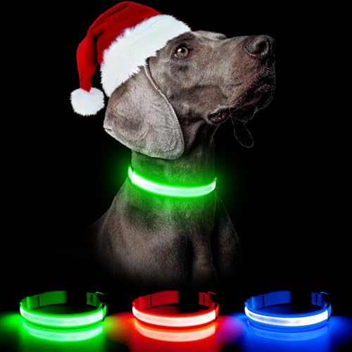 Weesiber LED-Hundehalsband – Leuchtende Hundehalsbänder – Verstellbares Hundehalsband – Wiederaufladbares Hunde-Campinghalsband – Leuchtende Hundelichter für nächtliche Spaziergänge (Groß, Grün) von Weesiber