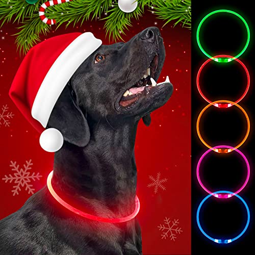 Weesiber leuchthalsband Hund - USB wiederaufladbares LED Hundehalsband, TPU leuchtende Hundehalsbänder für kleine mittelgroße Hunde (rot) von Weesiber