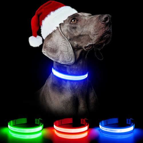 Weesiber leuchthalsband Hund aufladbar - LED Hundehalsband, Verstellbare Hunde leuchthalsband reflektierende Halsband Hund (Mittelgroße,Blau) von Weesiber