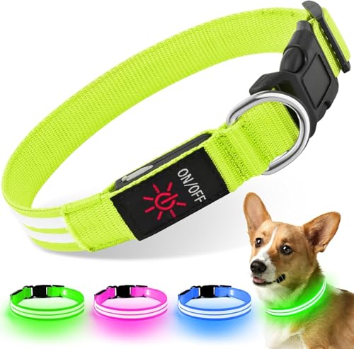 Weesiber Leuchthalsband Hund, Leuchtendes Hundehalsband Aufladbar Wasserdichtes LED Halsband für Hunde Verstellbares Hundebeleuchtung für Nachtspaziergänge (Grün, L) von Weesiber