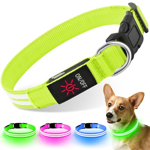 Weesiber Leuchthalsband Hund, Leuchtendes Hundehalsband Aufladbar Wasserdichtes LED Halsband für Hunde Verstellbares Hundebeleuchtung für Nachtspaziergänge (Grün, L) von Weesiber