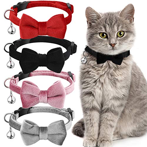 4 Stück Katzen-Fliegenhalsband mit Glöckchen, Katzenhalsband, bequemes Samt-Katzenhalsband mit niedlichem Sicherheits-Haustierhalsband für Haustiere, Kätzchen, Welpen (schwarz, rot, grau, rosa, klein) von Weewooday