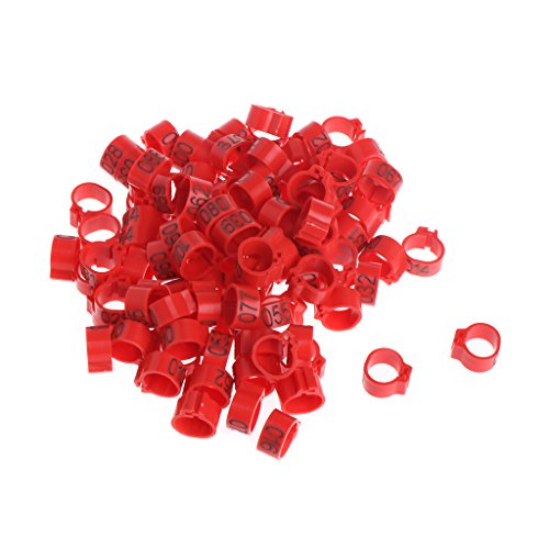 Wegiwuca 100 Stück 10 mm Vogelbeinbänder, runde Clips für Hühner, Bantam, Lovebirds Finken, mehrere C-Papageien, afrikanische Graupapageien, für kleine Papageien für große Vögel, Aras, Papageien Wegiwuca 100 Stück 10 mm Vogelbeinbänder, runde Clips für Hühner, Bantam, Lovebirds Finken, mehrere C-Papageien, afrikanische Graupapageien, für kleine Papageien für große Vögel, Aras, Papageien von Wegiwuca