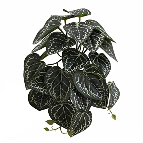 Wegiwuca Künstliche Terrarienpflanze für Einsiedlerkrebse, Eidechsen, Schlangen, Lebensraum, Dekoration, Terrarium, künstlich Wegiwuca Künstliche Terrarienpflanze für Einsiedlerkrebse, Eidechsen, Schlangen, Lebensraum, Dekoration, Terrarium, künstlich von Wegiwuca