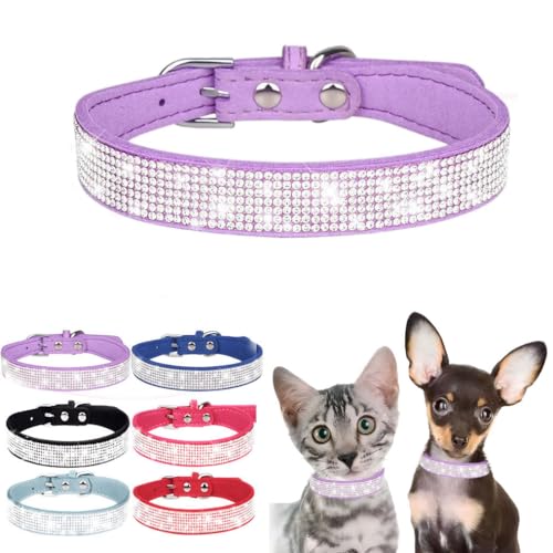 Bling Hundehalsband, Strass-Hundehalsband, niedliches Diamant-Juwel, funkelnd, ausgefallenes Leder, Katzen-Haustierhalsband für XXS, XS, S, M, L, XL, XXL, Welpen, Mädchen, weiblich, Lila, M von WeimoMonkey