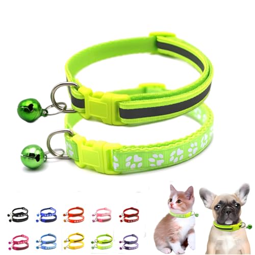 Grünes Hundehalsband mit Glöckchen, 2er-Pack, einfaches und reflektierendes Katzenhalsband, für Jungen, Welpen, Halsband mit Glöckchen, für XXS, XS, kleine männliche Hunde, Haustier, Kätzchen, Tier, von WeimoMonkey