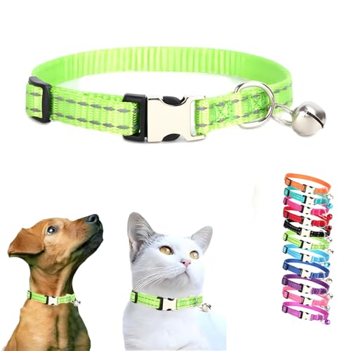 Grünes Welpenhalsband mit Glöckchen, Glocke für Katzenhalsband, Jungen, kleines Kätzchenhalsband, Nylon, Metallschnalle, reflektierend, für XXS, XS, kleine Hunde, Männer, Mädchen, Haustiere, von WeimoMonkey