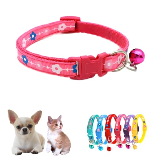 Halsband für kleine Katzen mit Glöckchen, Nylon-Blume, Welpenhalsband, Mädchen, für XXS, XS, kleine Hunde, Tierstreu, kleiner Kätzchen-Hals, 19 - 32 cm, Hot Pink von WeimoMonkey