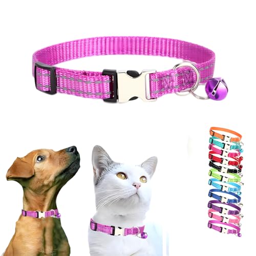 Hundehalsband mit Glöckchen, kleines Kätzchenhalsband, Nylon, Metallschnalle, reflektierend, für XXS, XS, kleine Hunde, Katzen, Haustiere, Kleintiere, Größe XS von WeimoMonkey