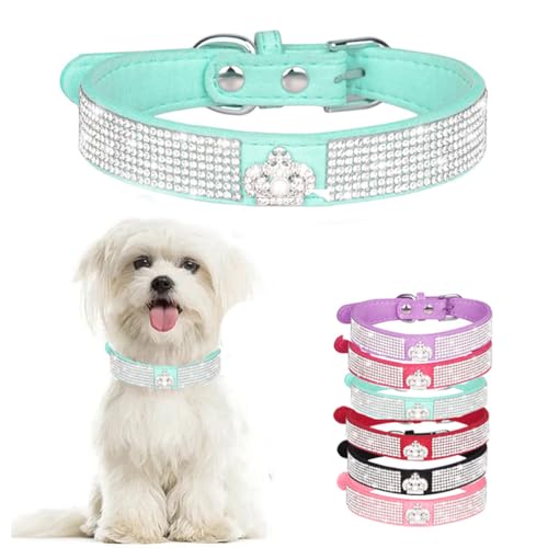 Hundehalsband mit Strasssteinen, glitzernd, für Welpen, Katzen, Haustierhalsband für XXS, XS, kleine, mittelgroße Mädchen, Hunde, weibliches Kätzchen, Krone, Hellblau, L von WeimoMonkey