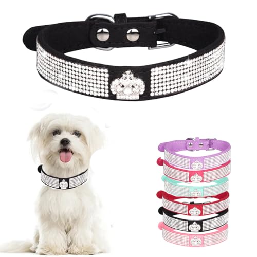 Hundehalsband mit Strasssteinen, glitzernd, für Welpen, Katzen, Haustierhalsband für XXS, XS, kleine, mittelgroße Mädchen, Hunde, weibliches Kätzchen, Krone, Schwarz, L von WeimoMonkey