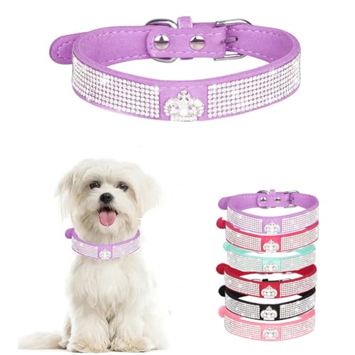 Hundehalsband mit Strasssteinen, niedlich, weich, glitzernd, glitzernd, für Welpen, Katzen, Haustierhalsband für XS, S, M, L, XL, XXL, Krone, Lila, S von WeimoMonkey