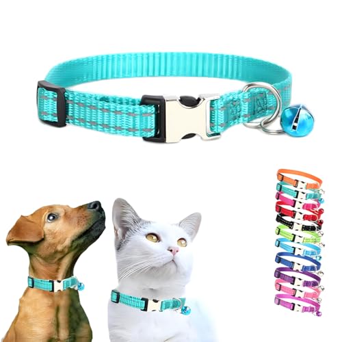 Kleine Glocke für Hundehalsband, kleines Kätzchenhalsband mit Glöckchen, Welpenhalsband für Jungen, Nylon, Metallschnalle, reflektierend, für XXS, XS, kleine Hunde, kleine Tiere, Haustiere, Katzen, von WeimoMonkey