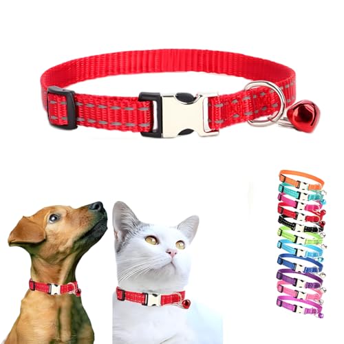 Rotes Kätzchenhalsband mit Glöckchen, Metallschnalle und reflektierendem Katzenhalsband, für Mädchen, Welpen, Hundehalsband mit Glöckchen, für XXS, XS, kleine Hündinnen, Haustiere, Tier, XS von WeimoMonkey