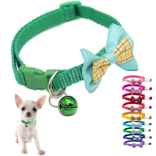 Grünes Welpenhalsband mit Glöckchen und Fliege, weiches XS-Katzenhalsband, verstellbare Schnalle, für XXS, XS, extra kleine Hunde, weiblich, männlich, kleine Haustiere, Kätzchen, Jungen, Mädchen, von Weimostar