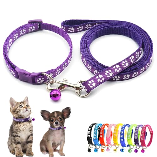 Hundehalsband für kleine Hunde mit Glöckchen, Katzenhalsband mit Glöckchen, Welpenhalsband, Nylon, weich, verstellbare Schnalle, für XXS, XS, kleine Jungen, Mädchen, Haustiere, weiblich, Kätzchen Hundehalsband für kleine Hunde mit Glöckchen, Katzenhalsband mit Glöckchen, Welpenhalsband, Nylon, weich, verstellbare Schnalle, für XXS, XS, kleine Jungen, Mädchen, Haustiere, weiblich, Kätzchen von Weimostar