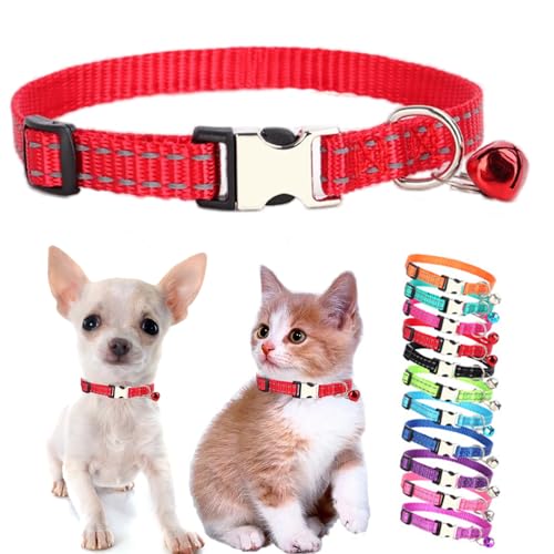 Hundehalsband mit Glöckchen, reflektierendes Nylon, XS, weich, verstellbare Schnalle, für XXS, XS, kleine Hunde, kleine Hunde, kleine Haustiere, Katzen, Jungen, Mädchen, Kätzchen, Yorkie, Chihuahua, Hundehalsband mit Glöckchen, reflektierendes Nylon, XS, weich, verstellbare Schnalle, für XXS, XS, kleine Hunde, kleine Hunde, kleine Haustiere, Katzen, Jungen, Mädchen, Kätzchen, Yorkie, Chihuahua, von Weimostar