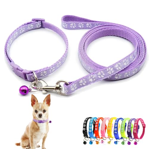 Hundehalsband mit Glöckchen-Leine, Katzenhalsband, Welpenhalsband, Nylon, weich, verstellbare Schnalle, für XXS, XS, klein, für Jungen, Mädchen, Haustiere, weiblich, Kätzchen, Yorkie, Teetasse Hundehalsband mit Glöckchen-Leine, Katzenhalsband, Welpenhalsband, Nylon, weich, verstellbare Schnalle, für XXS, XS, klein, für Jungen, Mädchen, Haustiere, weiblich, Kätzchen, Yorkie, Teetasse von Weimostar