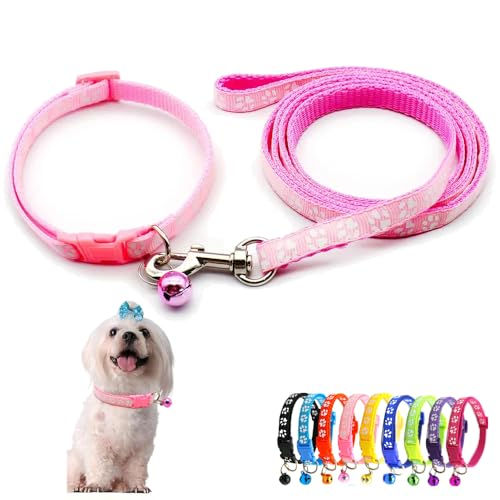 Hundehalsband mit Glöckchen-Leine, Katzenhalsband mit Glöckchen, Welpenhalsband, Nylon, weich, verstellbare Schnalle, für XXS, XS, XS, klein, Jungen, Mädchen, Haustiere, weiblich, Kätzchen, Yorkie Hundehalsband mit Glöckchen-Leine, Katzenhalsband mit Glöckchen, Welpenhalsband, Nylon, weich, verstellbare Schnalle, für XXS, XS, XS, klein, Jungen, Mädchen, Haustiere, weiblich, Kätzchen, Yorkie von Weimostar