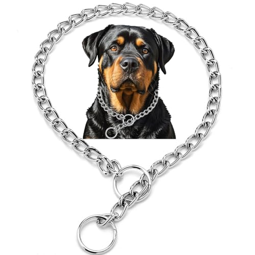 Kette für große Hunde, robustes Martingale-Halsband, Training, langlebiges Metall, P-Link, Welpenkette für XXS, XS, kleine, mittelgroße Hunde, Silber, XL Kette für große Hunde, robustes Martingale-Halsband, Training, langlebiges Metall, P-Link, Welpenkette für XXS, XS, kleine, mittelgroße Hunde, Silber, XL von Weimostar