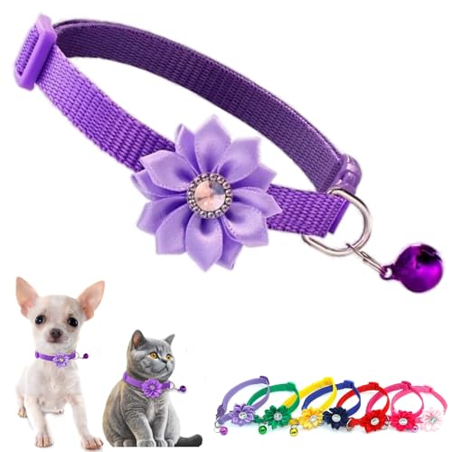 Lila Glockenhalsband für kleine Hunde mit Blume, Katzenhalsbänder mit Glocke und Blumenmädchen-Welpenhalsband, niedlich, verstellbar, für XXS, XS, extra kleine Hündinnen, kleine Haustiere, kleine von Weimostar