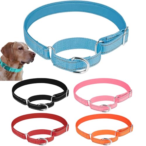 Weimostar Blaues Martingalhalsband für Hunde, Nylon, reflektierend, Welpenhalsbänder, verstellbar, Sicherheitstraining, weich, bequem, für kleine, mittelgroße und große Haustiere, M von Weimostar