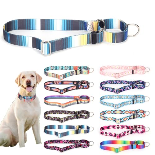 Weimostar Martingale Halsband für Hunde, strapazierfähig, verstellbare Schnalle, kein Ziehen, weiches Nylon, Welpenhalsband, Spaziergangstraining für kleine, mittelgroße und große Haustiere, Jungen von Weimostar